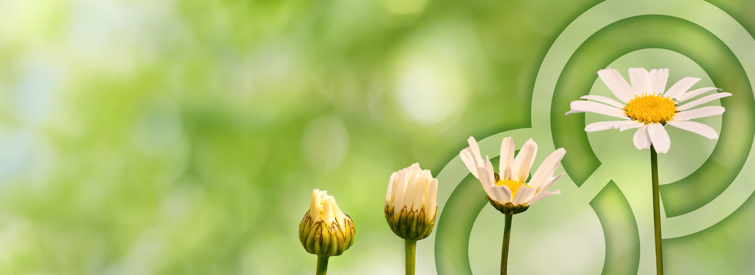 Is Your PLM System Holding You Back?